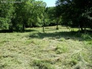 Lautenbach Lautenbach zum kaufen (Grundst&uuml;ck) Grundstück kaufen