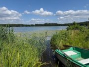Lubniewice Idyllisches Wohnen mit eigenem Seezugang und modernen Annehmlichkeiten Haus kaufen
