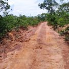 Manus Brasilien 1'000 Hektar grosses Tiefpreis - Grundstück mit Rohstoffen in der Nähe der Öl-, Erdgas- und Goldstadt Silves