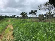 Silves Brasilien riesengrosses 1\'000 Ha Tiefpreis - Grundstück mit Rohstoffen Grundstück kaufen