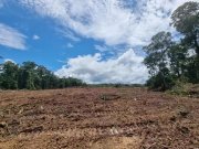 Presidente Figueiredo Amazonas Fazenda 479 ha Früchtefarm - LAk-BR-003 Gewerbe kaufen