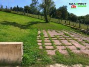 1000 Etangs Freistehendes ehemaliges Bauernhaus mit 3200 m² Grundstück - 90 km von Basel Haus kaufen