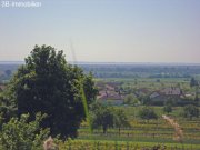 Donnerskirchen unverbaubarer SEEBLICK Grundstück kaufen