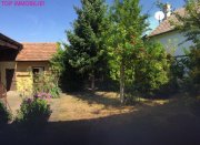 Wallern im Burgenland PREISREDUZIERUNG! Einfamilienhaus mit Nebengebäude u. zwei Zufahrten! Haus kaufen