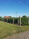 Hőgyész Panorama-, komplett renoviertes Presshaus mit Weinkeller zum Verkauf in Hőgyész-Csicóhegy Haus kaufen