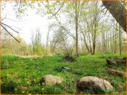 Stepnica Stettiner Haff - Wassergrundstück, bebaut mit ehem. Zollhaus und einer Halle! Tinysiedlung möglich Grundstück kaufen