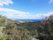 Agios Nikolaos, Lasithi, Kreta Bauland mit Olivenhain und Meerblick Grundstück kaufen