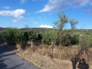 Lakonia, Agios Nikolaos, Lasithi, Kreta Erschwingliches Baugrundstück von 573m2, in der Nähe von Stadt und Dorf Grundstück kaufen