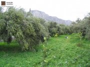Kato Chorio Kreta Wohn- und Geschäftshaus mit Meerblick in Kato Chorio, Ierapetra, Kreta Haus kaufen