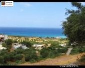 Agia Fotia (Sitia) Kreta, Sitia, 4 Steinhäuser (Rohbau) mit Panoramablick aufs Meer Haus kaufen