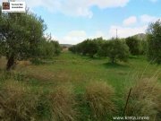 Chandras Kreta, Chantras - bebaubares Grundstück 1.500qm Grundstück kaufen