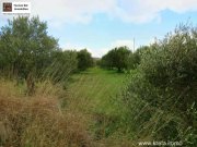 Chandras Kreta, Chantras - bebaubares Grundstück 1.500qm Grundstück kaufen