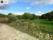 Chandras Kreta, Chantras - bebaubares Grundstück 1.500qm Grundstück kaufen