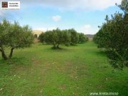 Chandras Kreta, Chantras - bebaubares Grundstück 1.500qm Grundstück kaufen