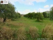 Chandras Kreta, Chantras - bebaubares Grundstück 1.500qm Grundstück kaufen