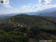 Platanias Kreta, Planias - Grundstück 110.000m² mit ca. 2.400 Olivenbäumen und kleinem Haus Grundstück kaufen