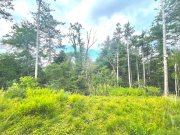 Mosbach Naturnah: Traumhaus in Aussichtslage Haus kaufen