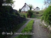 Bár Teilrenoviertes Ferienhaus im Weinberg von Bár mit Blick über die Donau - Auen Haus kaufen