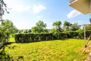 Deilingen Charmantes Einfamilienhaus mit Garage & PV-Anlage in Deilingen Haus kaufen