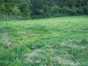 Epfendorf Traumhaftes Baugrundstück in unverbaubarer Lage Grundstück kaufen