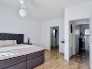 Bad Krozingen Moderne DHH in zentrumsnaher Lage Haus kaufen