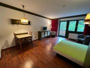 Todtmoos 1-Zimmerappartement mit TG-Stellplatz inmitten von Todtmoos Wohnung kaufen