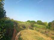 Kisdobsza Renoviertes Einfamilienhaus zum Verkauf in Kisdobsza, mit großem Grundstück und separatem Baugrundstück Haus kaufen