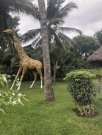 Malindi gepflegte Villa in bewachten Resort Haus kaufen