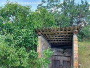 Lepseny Haus mit großem Grundstück und Weinkeller Haus kaufen