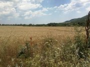 Medovo 9500 Sqm Land With Building Permission For Up To 12 Villas Close To Sunny Beach Bulgaria. Grundstück kaufen