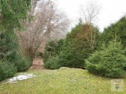 Emmering Attraktive Wohnung mit großem Garten,
Garage mit verpachteter Gaststätte 
inklusive genehmigtem Biergarten Gewerbe kaufen