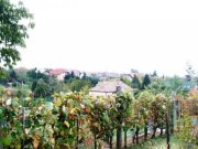 Keszthely Wohnhaus am Nordufer Haus kaufen