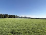 Otterfing Grundstück zu 500 qm in Otterfing Grundstück kaufen