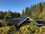Vemhån Luxus und Natur - Fischen, Wassersport und Ski Haus kaufen