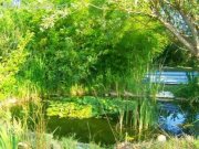 Velorgues Traumhaft schönes und typisch provenzalische Liegenschaft aus dem 18. Jahrhundert mit typischer Villa auf parkähnlichem mit