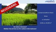 Königsmoos Großzügige Landwirtschaftsfläche / Wiese in Königsmoos, evtl. Ausgleichsfläche oder PV - Ein Objekt von SOWA Immobilien vor