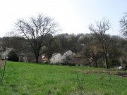 Kallósd Zu renovierendes Bauernhaus in idyllischer Lage Haus kaufen