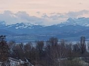 Friedrichshafen Jeder Tag wie im Urlaub - 
Wohnen am See mit traumhaftem Panoramablick! Wohnung kaufen