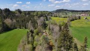 Leutkirch im Allgäu Schmuckstück im Allgäu zwischen Wald und Wiesen, idyllisch am Fluß Haus kaufen
