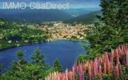 Gerardmer Grosse, schöne 5 Zimmer-Wohnung in Gerardmer, die "Perle der Vogesen" am See gelegen Wohnung kaufen