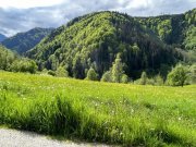 St. Gallen Baugrundstück mit Panoramablick Grundstück kaufen