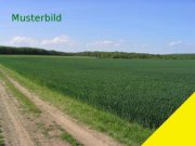 Aurach Acker und Wiesenflächen zum Verauf in der Gemarkung Weinberg Grundstück kaufen