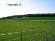 Aurach Acker und Wiesenflächen zum Verauf in der Gemarkung Weinberg Grundstück kaufen