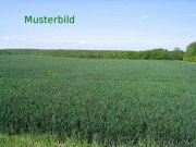 Aurach Acker und Wiesenflächen zum Verauf in der Gemarkung Weinberg Grundstück kaufen