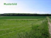 Aurach Acker und Wiesenflächen zum Verauf in der Gemarkung Weinberg Grundstück kaufen