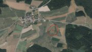 Schwarzhofen Landwirtschaftliches Grünland in Ortsrandlage von Denglarn Grundstück kaufen