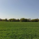 Bilo Grosses Baugrundstück mit Bestand nur 14 km zu den Stränden Haus kaufen