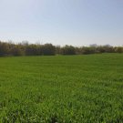 Bilo Grosses Baugrundstück mit Bestand nur 14 km zu den Stränden Haus kaufen