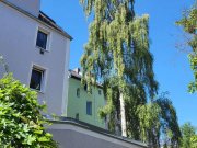 Hof Vollvermietetes Mehrfamilienhaus mit 6 Wohnungen in Hof Gewerbe kaufen