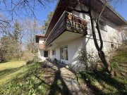 Hof Hof-Bestlage: Einfamilienhaus mit großem Grundstück Haus kaufen
